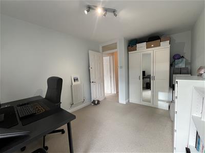 Picture 15